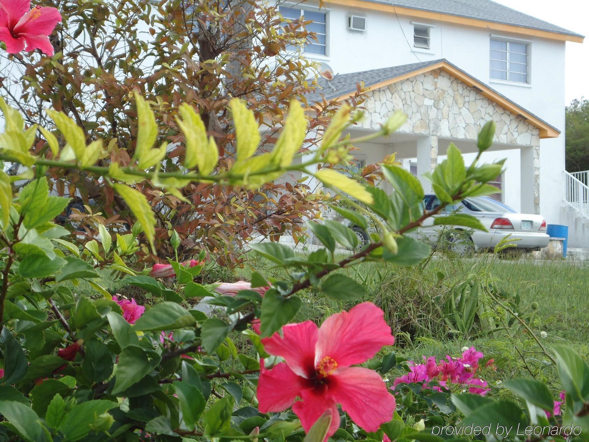 Orange Creek Inn מראה חיצוני תמונה
